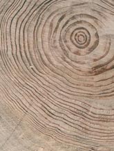 Wuxi Re-Home New Materials Co.,Ltd.